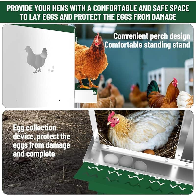 Wall-Mount or Free-Standing Metal Chicken Nesting Box for Hens, Green with Legs