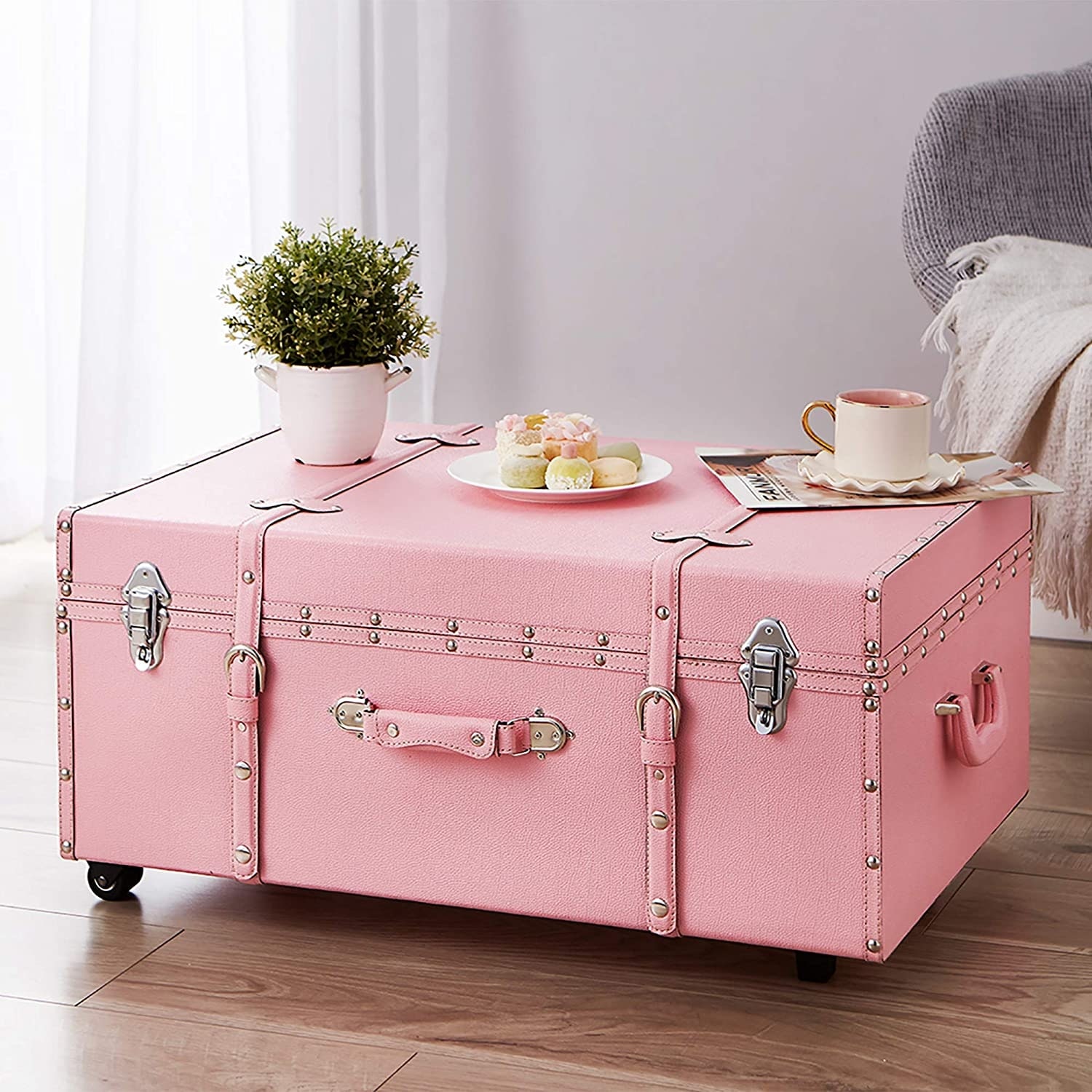 Texture® Brand Trunk - Baby Pink by DormCo - On Sale - Bed Bath