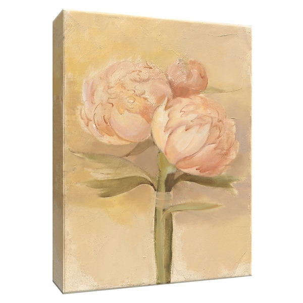 PTM Images 9-154706 PTM Canvas Collection 10" x 8" - "Inspirational Peonies" Giclee Peonies Art Print on Canvas