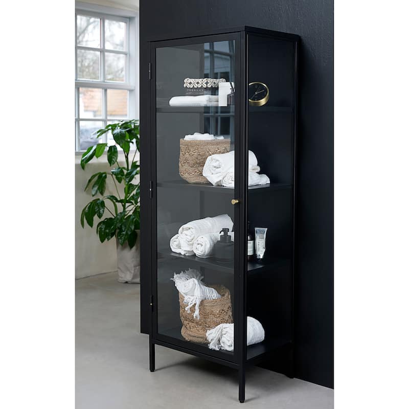 Rye Studio Cairyn Modern Glass and Metal Cabinet - Single Door
