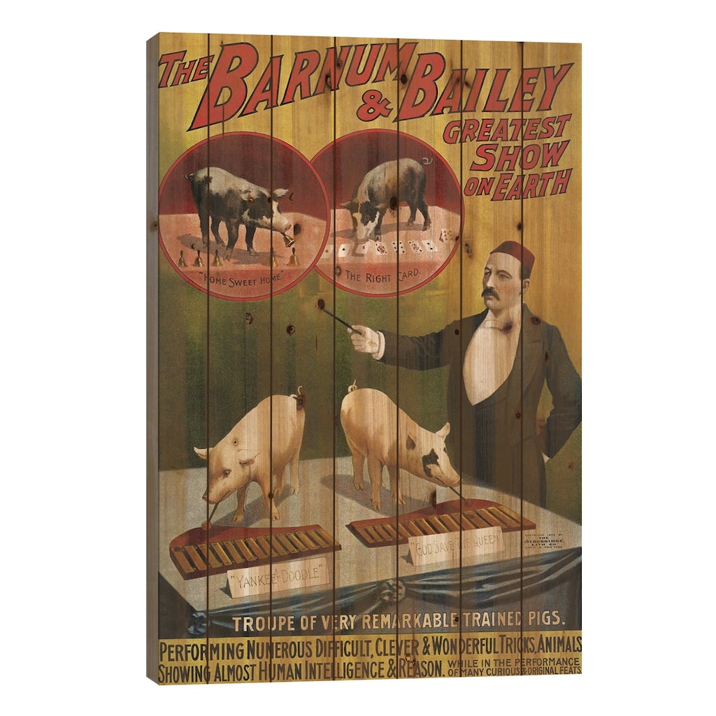 1900s Barnum & Bailey Circus Poster Print On Wood by The Advertising Archives - Multi-Color