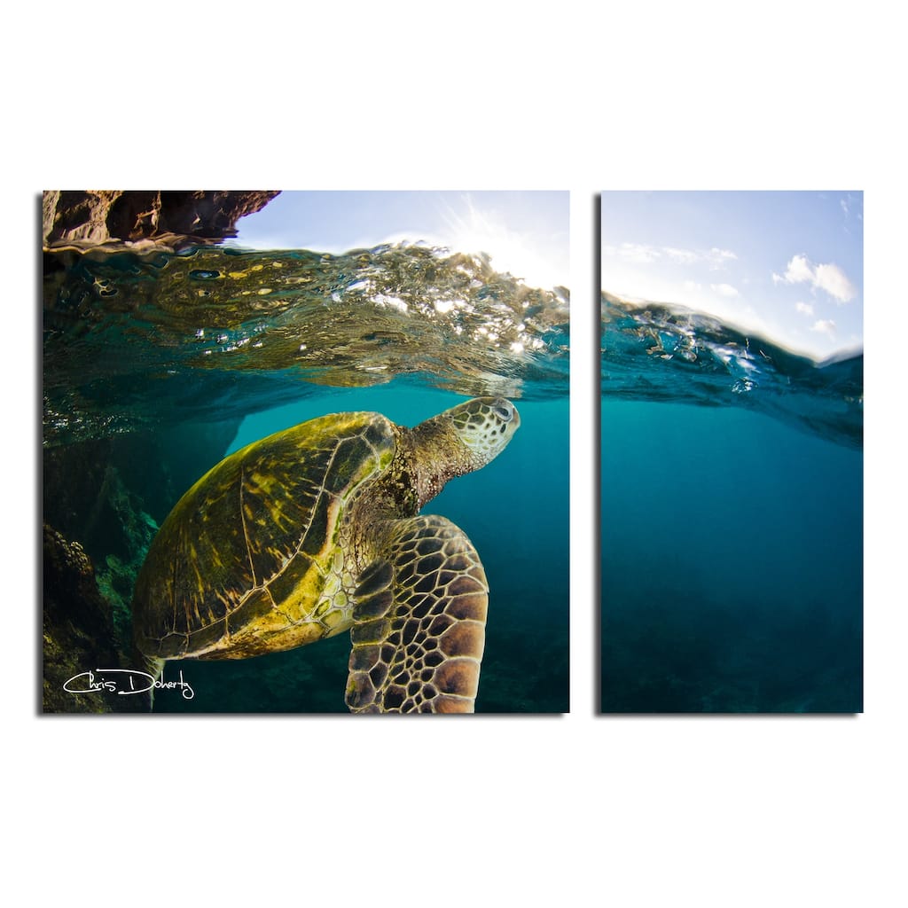 Ready2HangArt 'Maui Turtle Drifts' 2-Piece Wrapped Canvas Wall Art Set