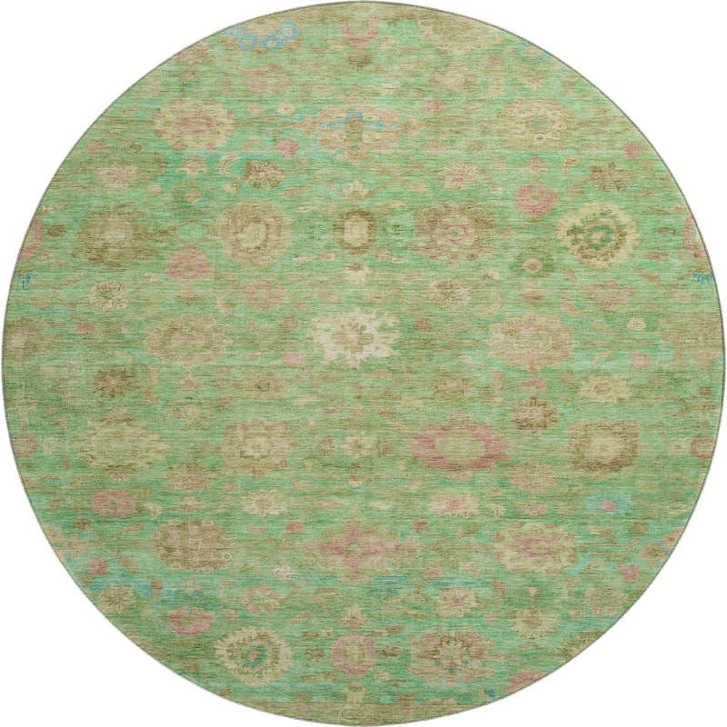Premium Washable Super Soft Vintage Traditional Mayfield Rug