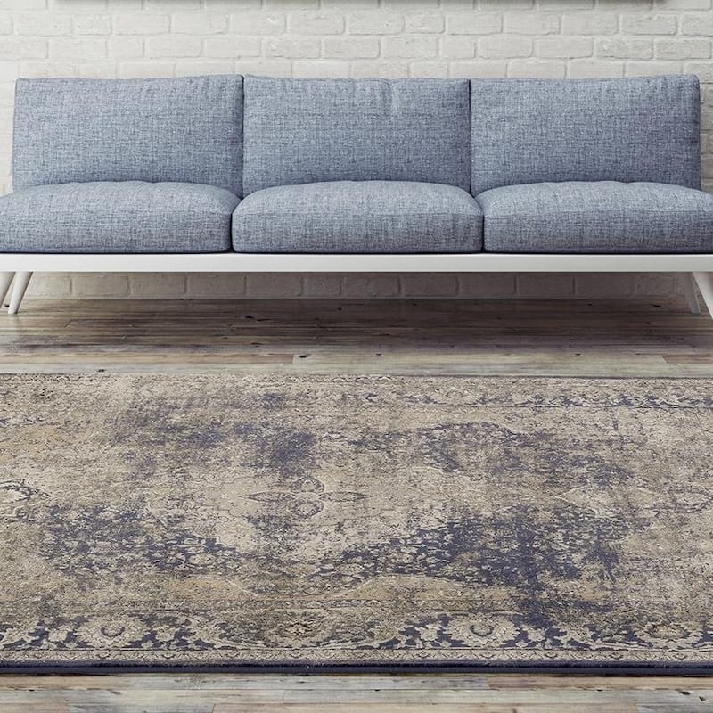 Antique Collection Traditional Area Rug