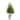 49" Norfolk Island Pine "Natural Look" Tree - Green
