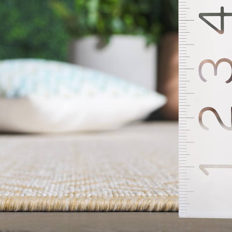SAFAVIEH Terrace Elita Indoor/Outdoor Washable Backyard Patio Rug