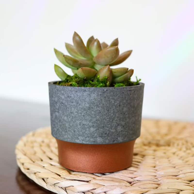 The HC Companies Sprite Succulent Planter Pot, Faux Concrete Copper (10 Pack) - 0.25