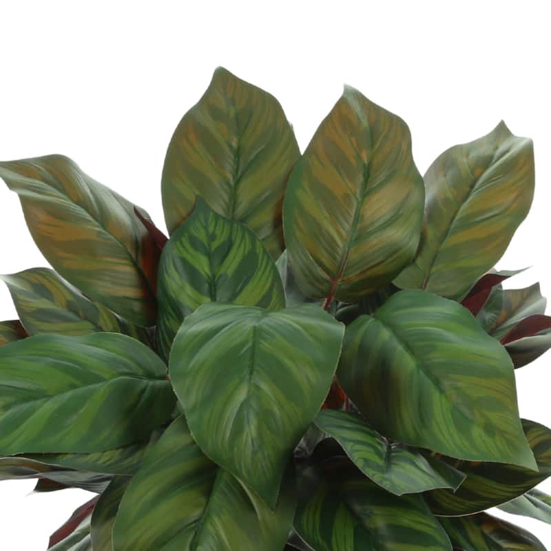 Outdoor UV Resistant Aglaonema Plant in a Fiberstone Pot - Green