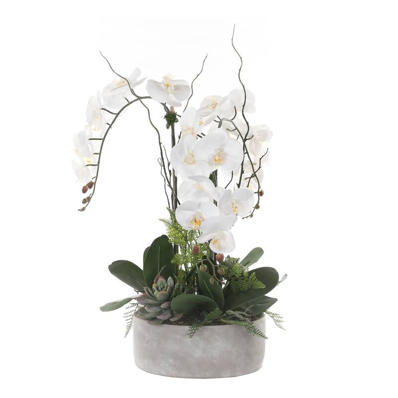 Real Touch Orchid Flower Arrangement in Stone Cement Pot - White