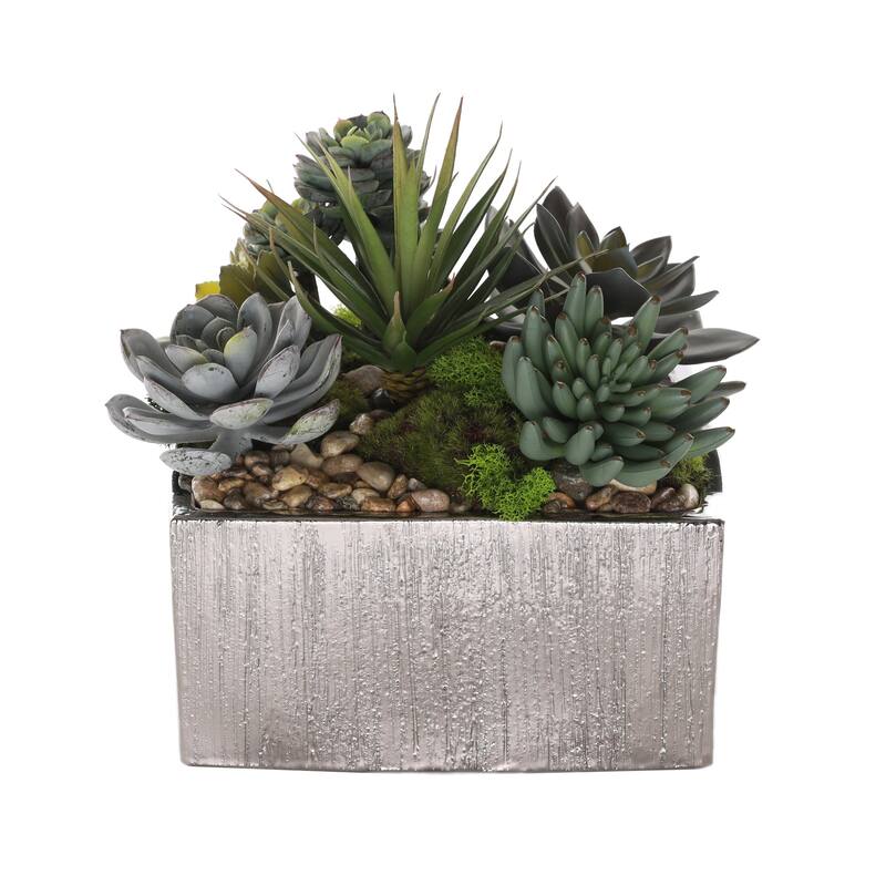 Succulent Arrangement with rocks in Square Etched Silver Pot - Green, green gray