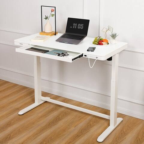 FLEXISPOT 48" Width Electric Height Adjustable Desk Home Office Standing Desk Computer Desk Wooden Top With Drawer USB Charged