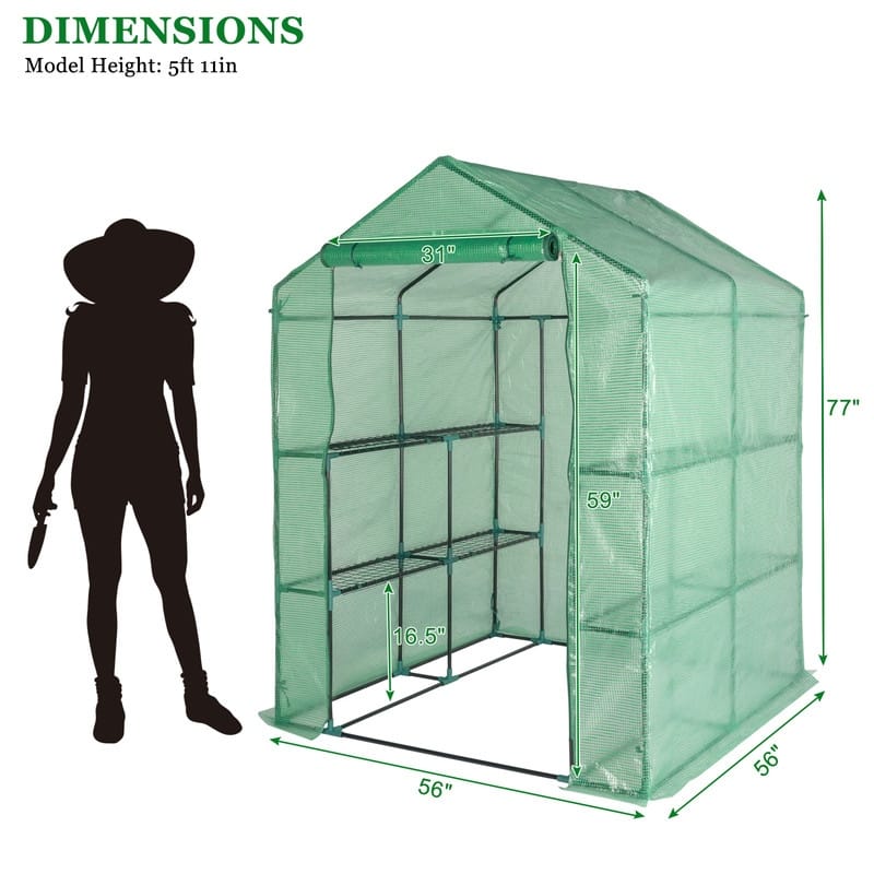 56"W x 56"D x 77"H Hobby Greenhouse