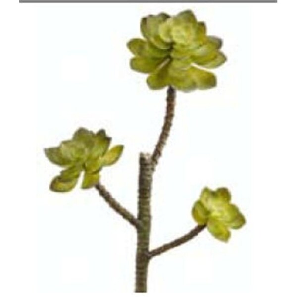 CM4128-GR 13 in. Green Echeveria Pick X3- Case of 12