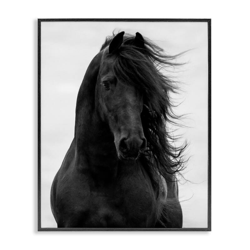 Stupell Black Stallion Horse Portrait Soft Grey Sky Photography Framed Wall Art