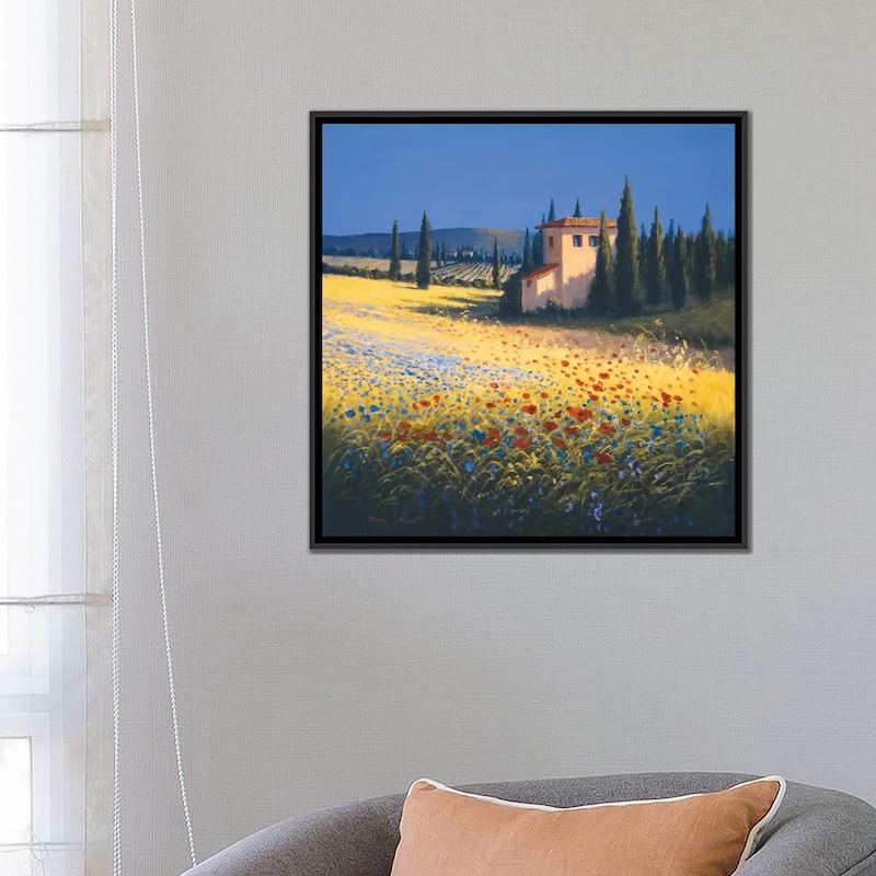 iCanvas "Summer Villa" by David Short Framed Canvas Print