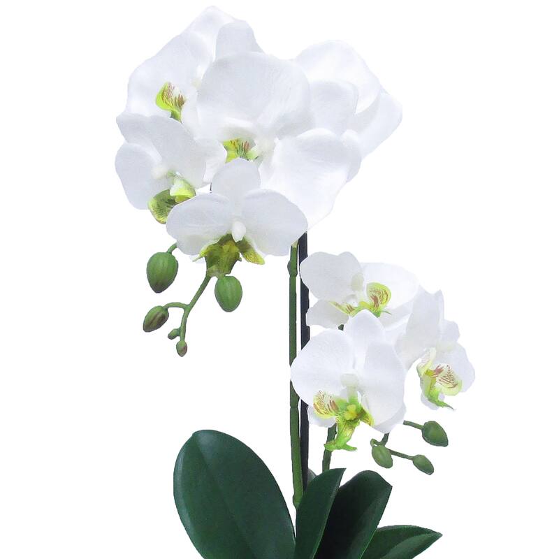 Artificial Phalaenopsis Orchid Flower Arrangement in Pot 16in