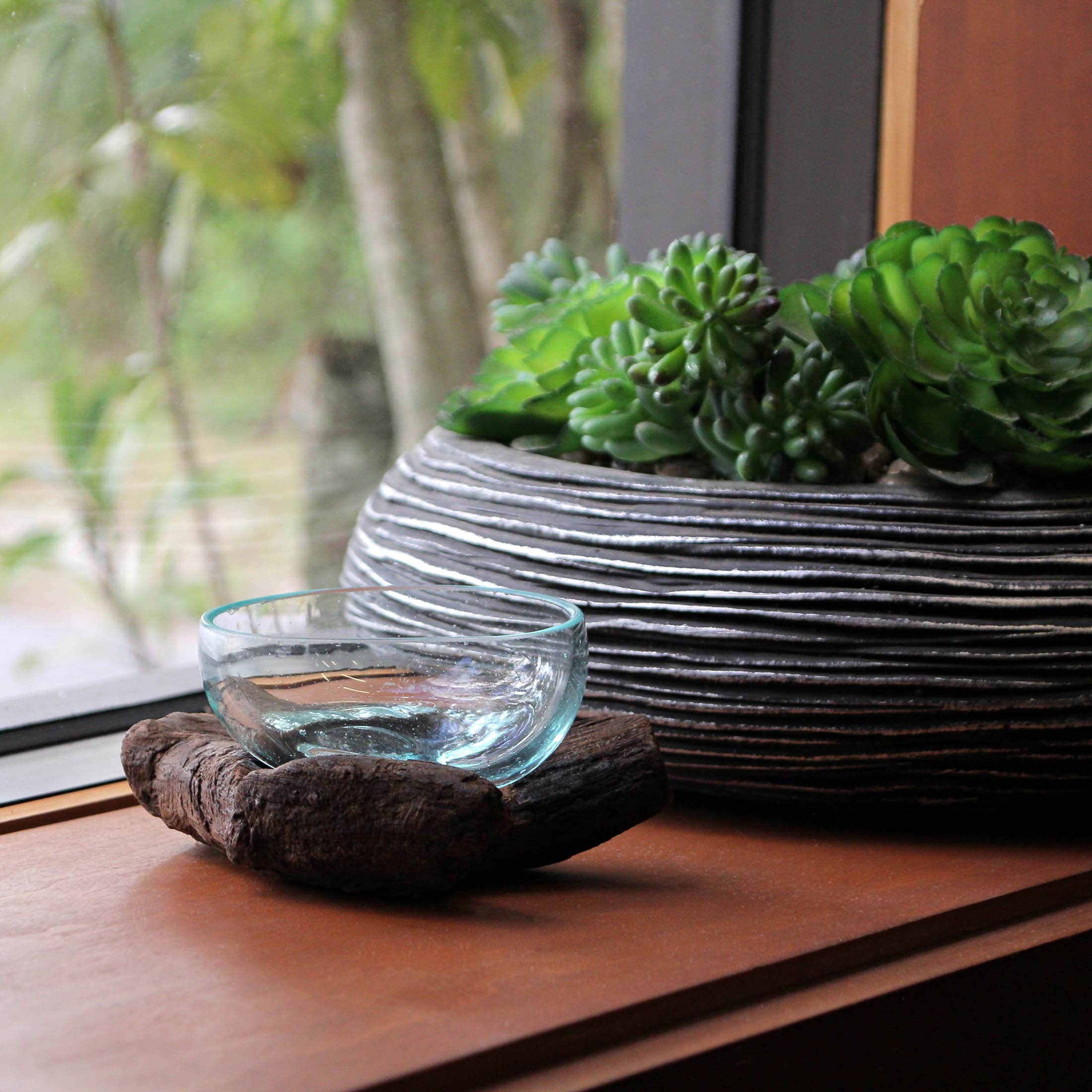 Glass And Teak Driftwood Bowl 3.25" High Decorative Succulent - Bed