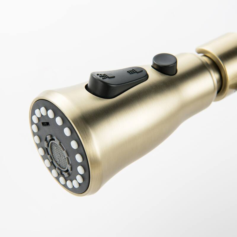 Modland Wall-Mounted Kitchen Faucet with Pull Down Sprayer 3-Function in Brushed Gold/Matte Black