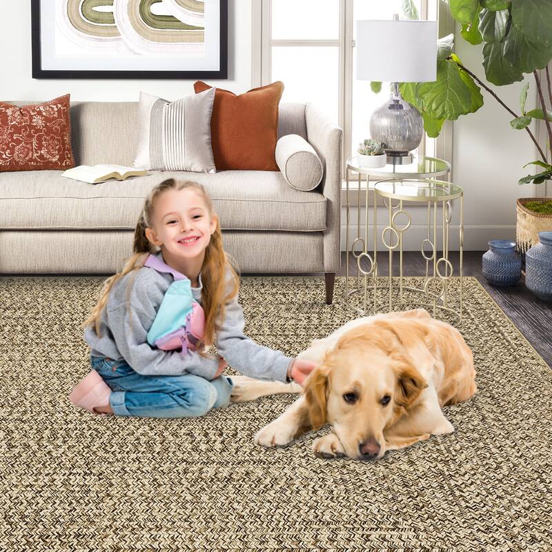 Modern Braided Print Rug Washable Area Rugs for Living Room Bedroom