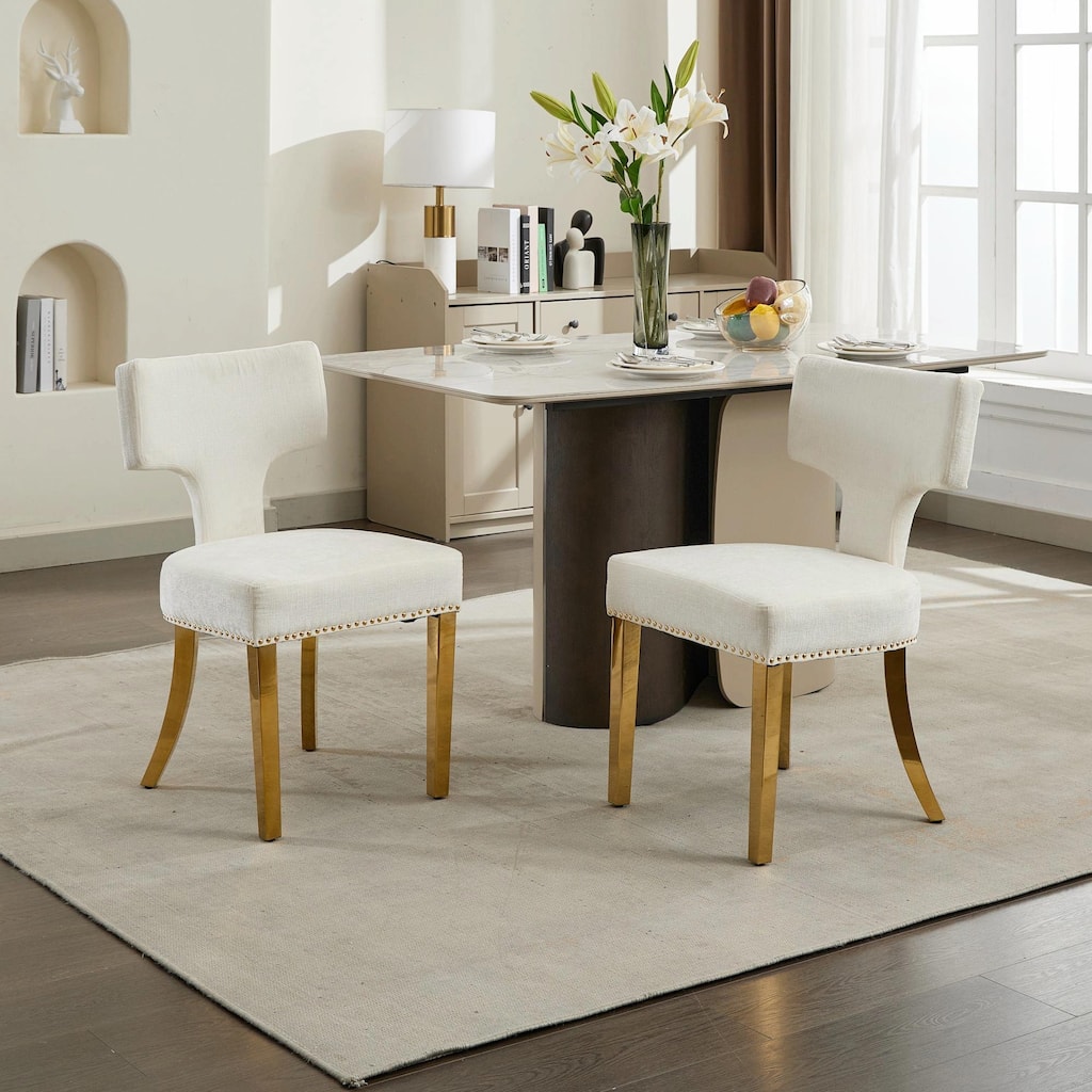 Mid Century Modern Dining Chairs Set of 2