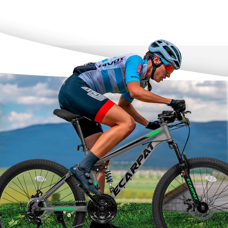 Mountain Bike 26 Inch Wheels,21-Speed Full Suspension Mens Womens Bike,Carbon Steel Frame,Disc Brakes Thumb Shifter