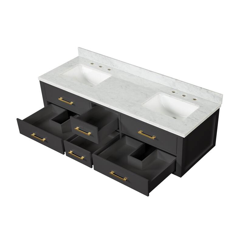 Lexora Castor Double Bath Vanity and Carrara Marble Top