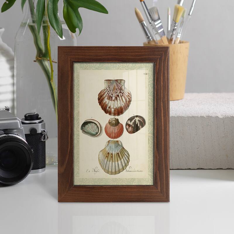 Bookplate Shells III -Framed Print w/glass-Cherry Red