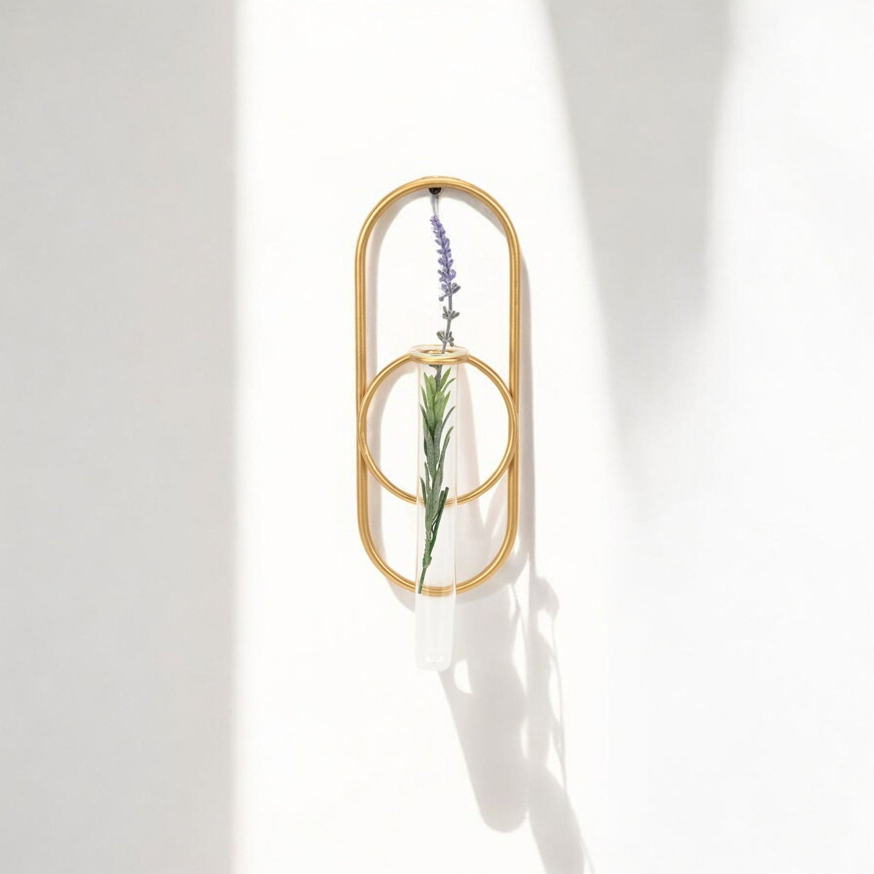 Sephra Metal Loop Glass Wall Planter