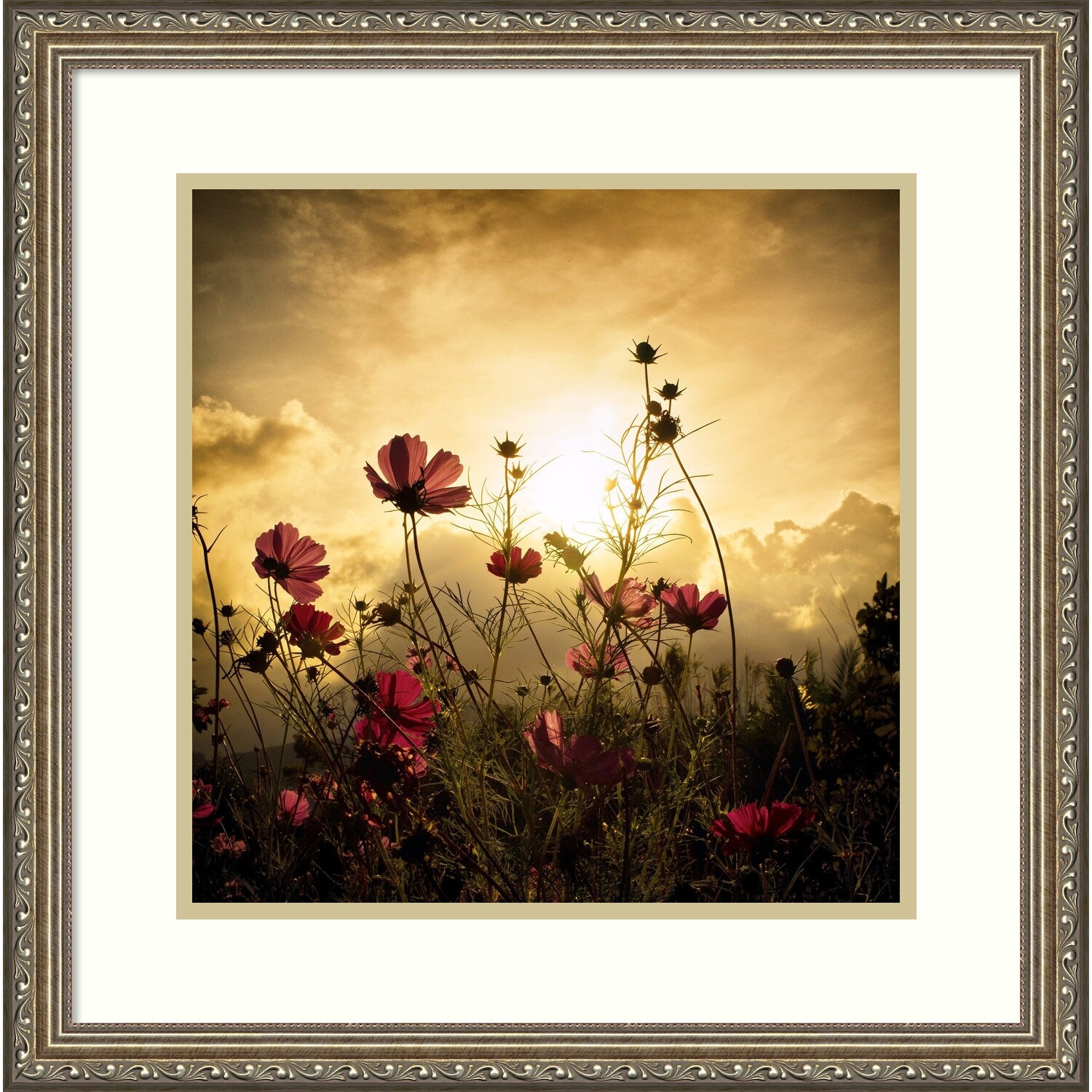 overstock com