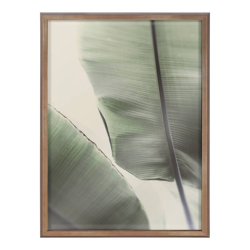 Kate and Laurel Blake Vintage Palm Framed Printed Glass by Alicia Abla