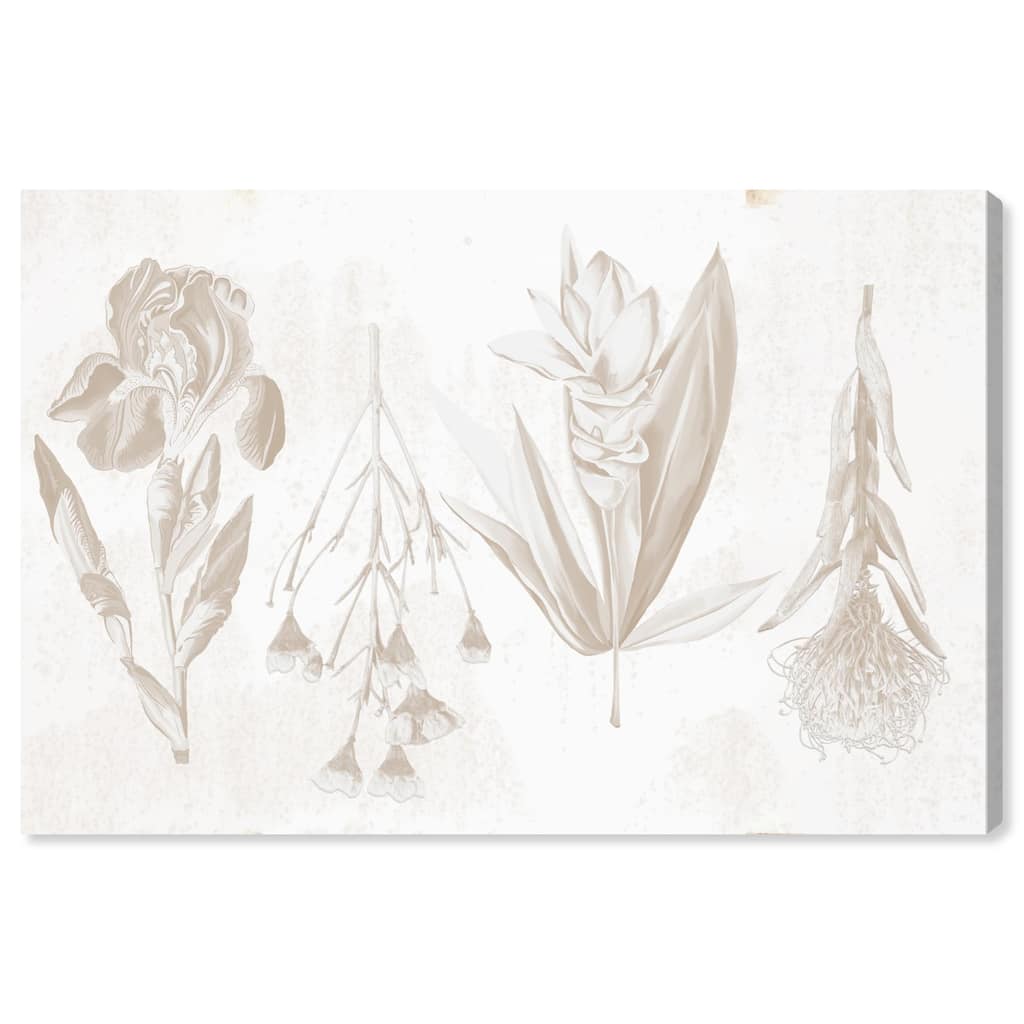White Pressed Flora Canvas by Art Remedy, Gallery Wrapped