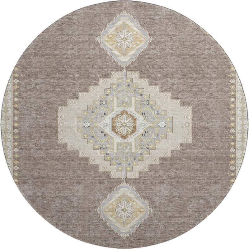 Premium Washable Super Soft Traditional Boho Mayfield Rug