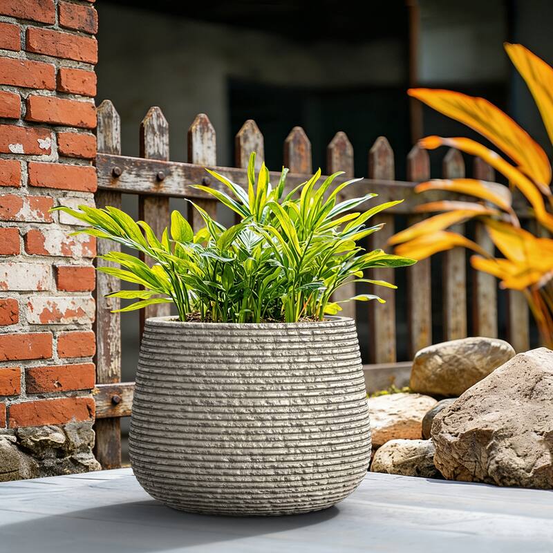 Upgraded Interior Concrete Round Planter with Draiange Holes