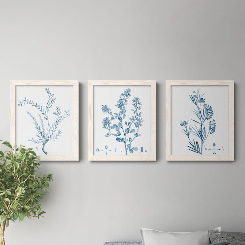 Antique Botanical in Blue VII-Premium Framed Canvas - Ready to Hang - Multi-Color