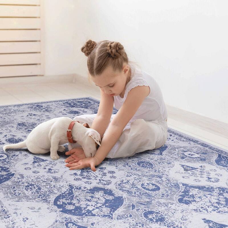 Rustic Rustic Multi-Color Washable Rug