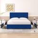 Option Blue
