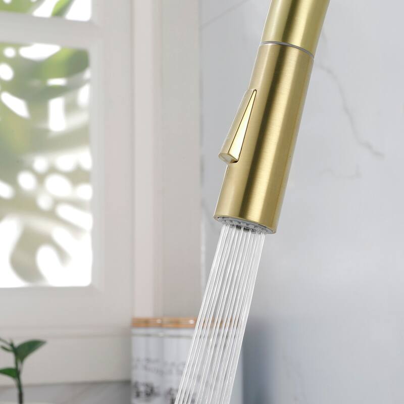 2-Function 1-Handle Pulldown Kitchen Faucet