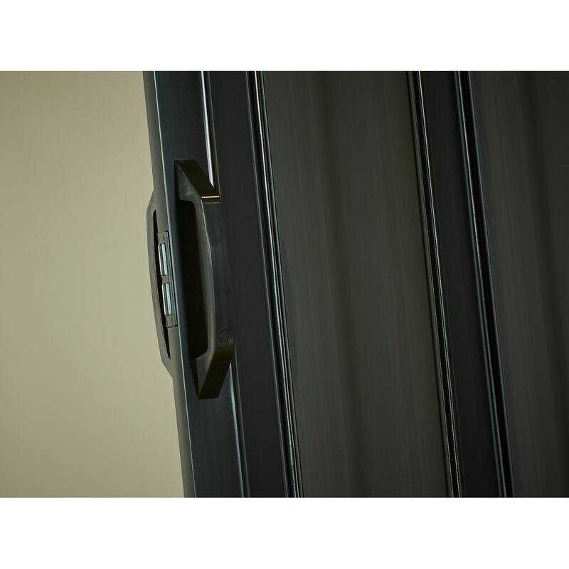 Spectrum Sienna Black PVC 36-inch Folding Door - Black