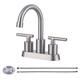 Option Brushed Nickel