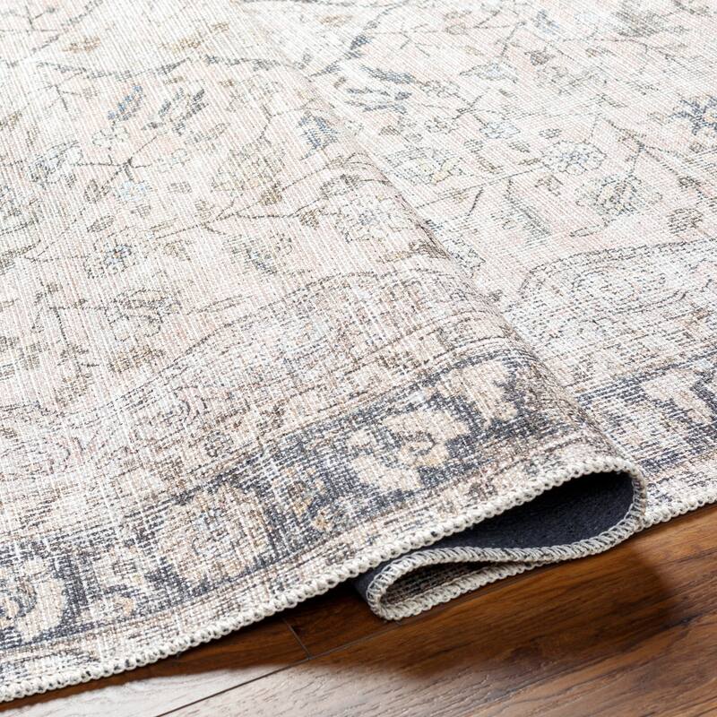 Carleigh Traditional Washable Area Rug