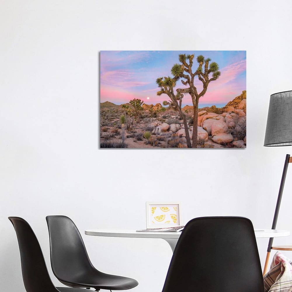 iCanvas "Joshua Tree In desert, Joshua Tree National Park, California" by Tim Fitzharris Canvas Print