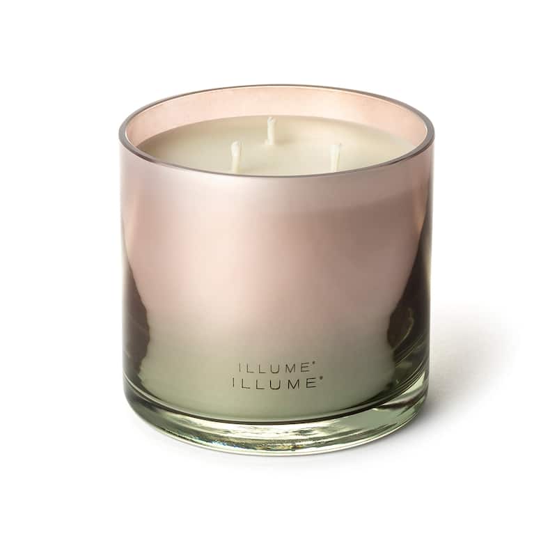 Beautifully Done Essentials Coconut Milk Mango Demi Vanity Tin Scented Candle