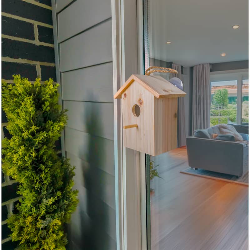 See Through Wooden Window Bird house w/ Large Suction Cups, Hanging Lanyard Rope Birdhouse - regular