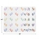 preview thumbnail 4 of 4, Sweet Jojo Designs Foot Prints Boy Girl Gender Neutral Unisex Baby Monthly Milestone Blanket Rainbow Footprints Party Birthday
