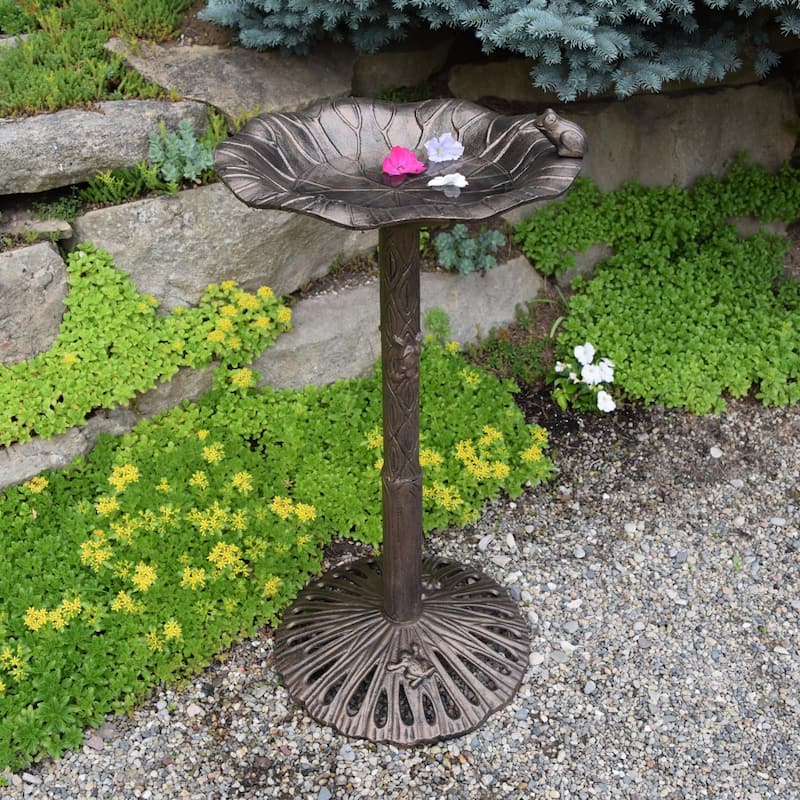Curious Frog Outdoor Garden Bird Bath - Antique Bronze - 35"