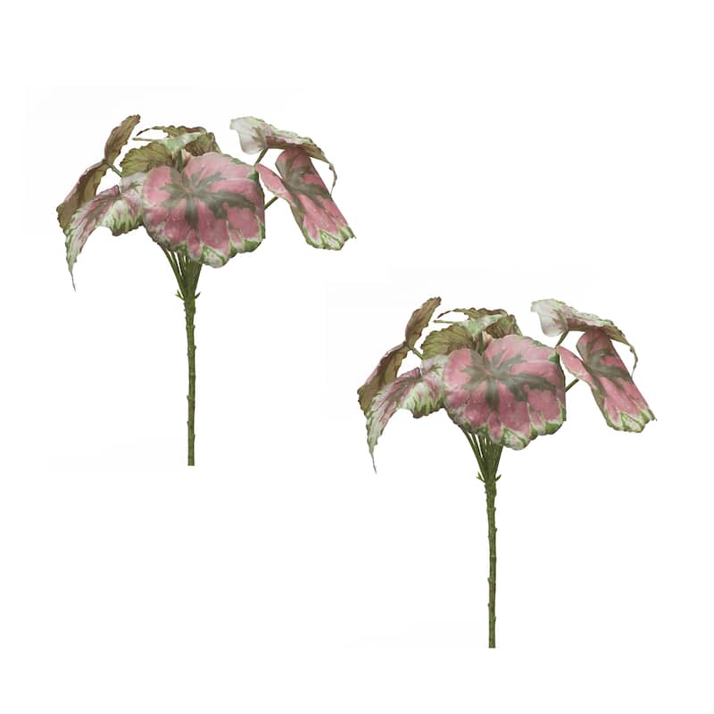 Begonia Leaf (Set of 2) - Green