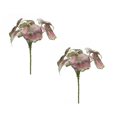 Begonia Leaf (Set of 2)