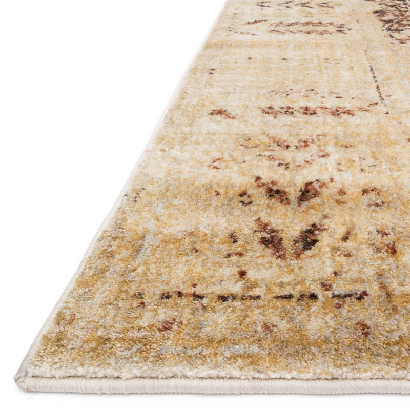 Alexander Home Contessa Traditional Floral Distressed Border Rug