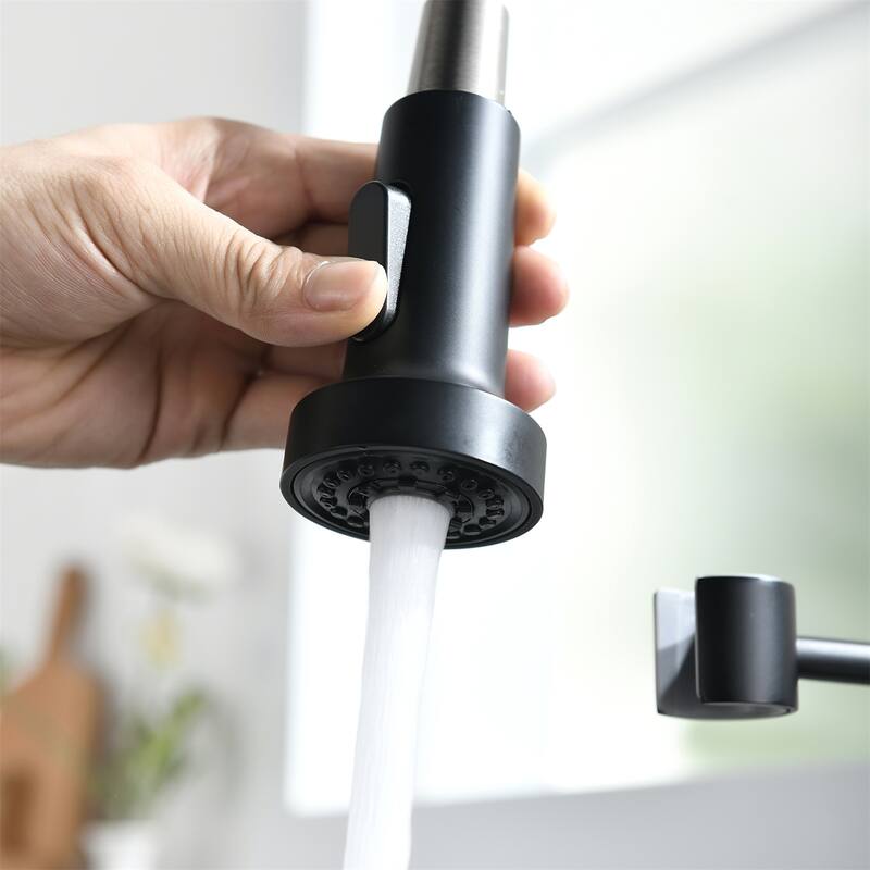 Single Handle Single Lever Kitchen Faucet with Pull Down Sprayer