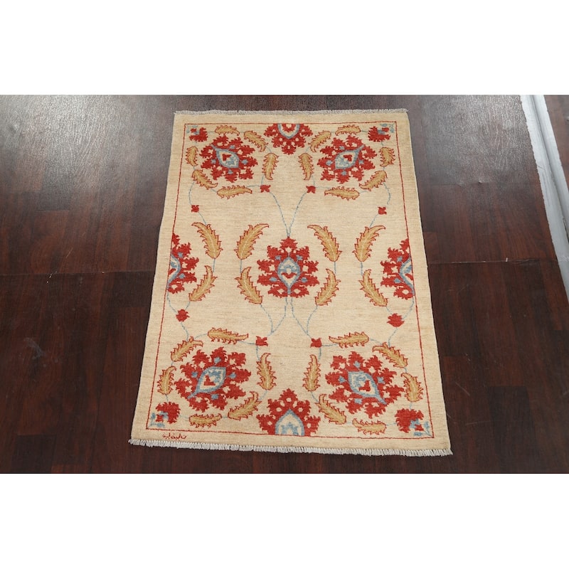 Vegetable Dye Floral Ziegler Area Rug Wool Hand-knotted Foyer Carpet - 3'2" x 4'4"